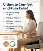 Modern Everlasting Comfort Doctor Recommended Memory Foam Seat Cushion for for Daily Use